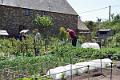 34. Church Allotments